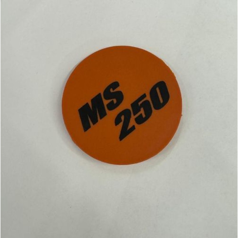 Фирменная табличка MS 250