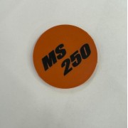 Фирменная табличка MS 250