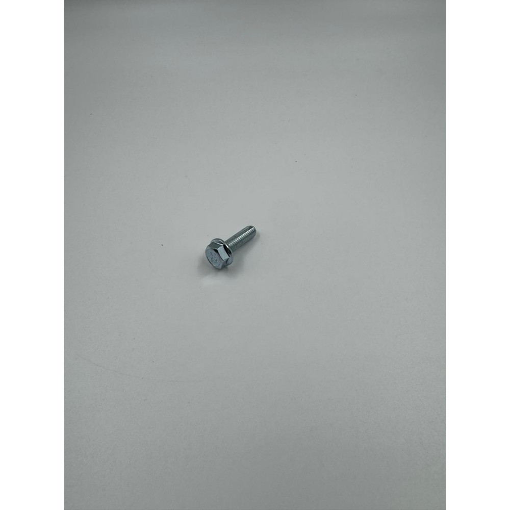 Болт (6x20)
