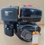 Двигатель 306cc LCTCS 8D