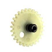 Worm Gear