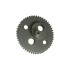 Spur Gear