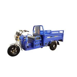 Трицикл грузовой Holzfforma TR150